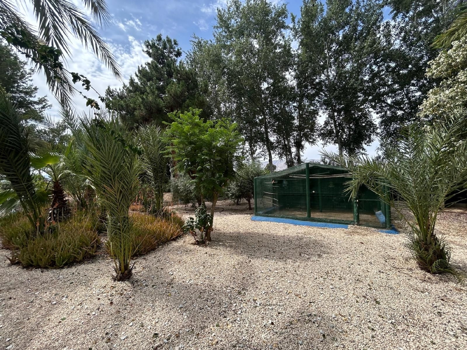  à vendre maison de campagne Crevillent Baix Vinalopó 5