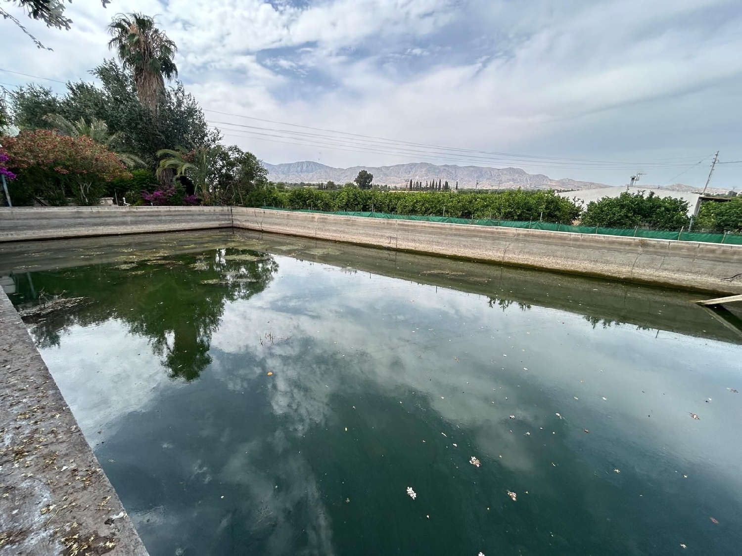  à vendre maison de campagne Crevillent Baix Vinalopó 7