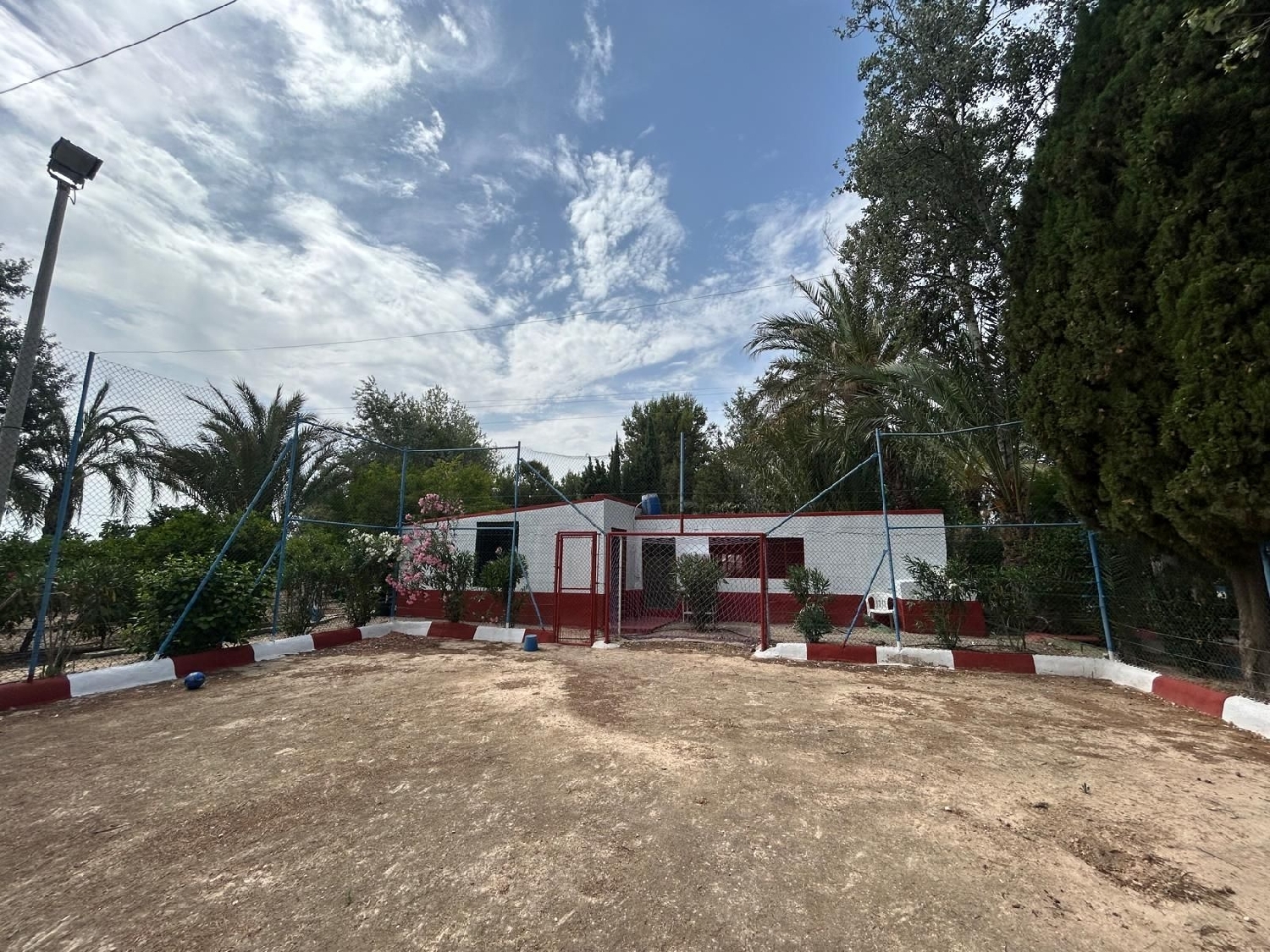  à vendre maison de campagne Crevillent Baix Vinalopó 6