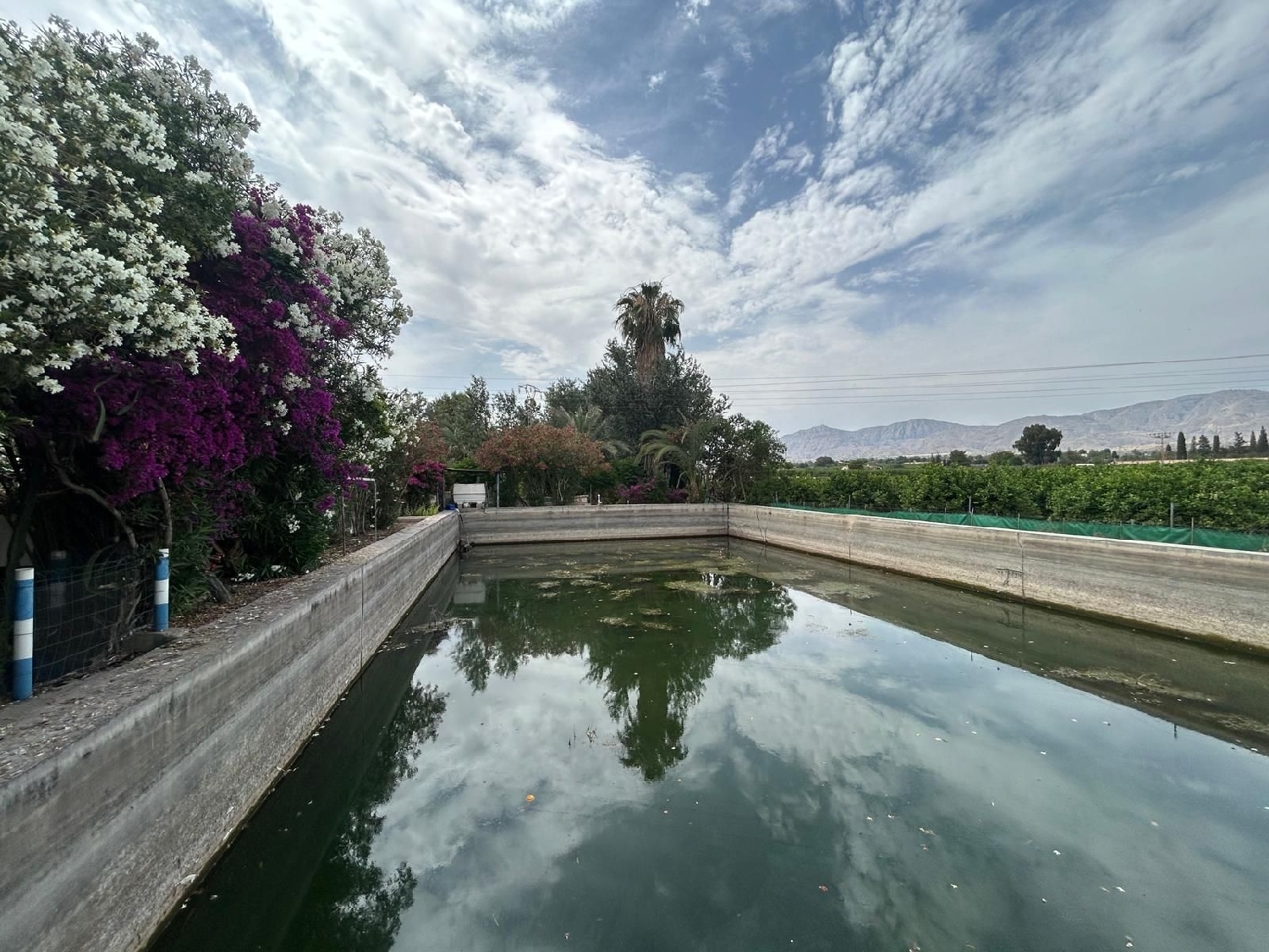  à vendre maison de campagne Crevillent Baix Vinalopó 8