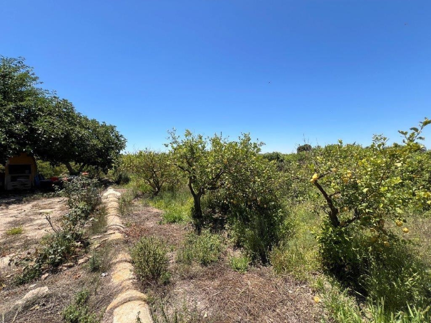  for sale country house Daya Nueva Baix Segura 7