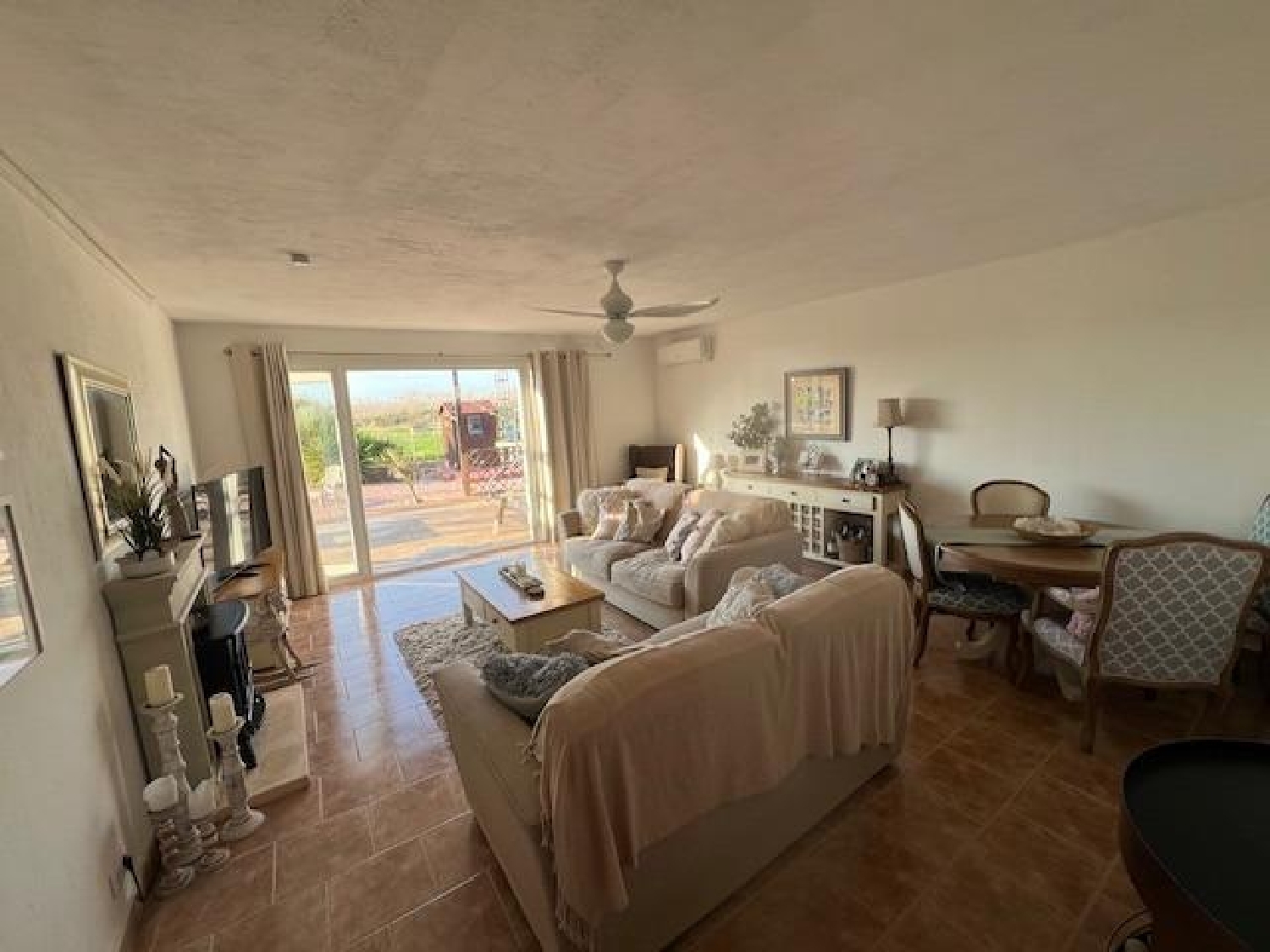  en venta finca rústica Dolores Baix Segura 4