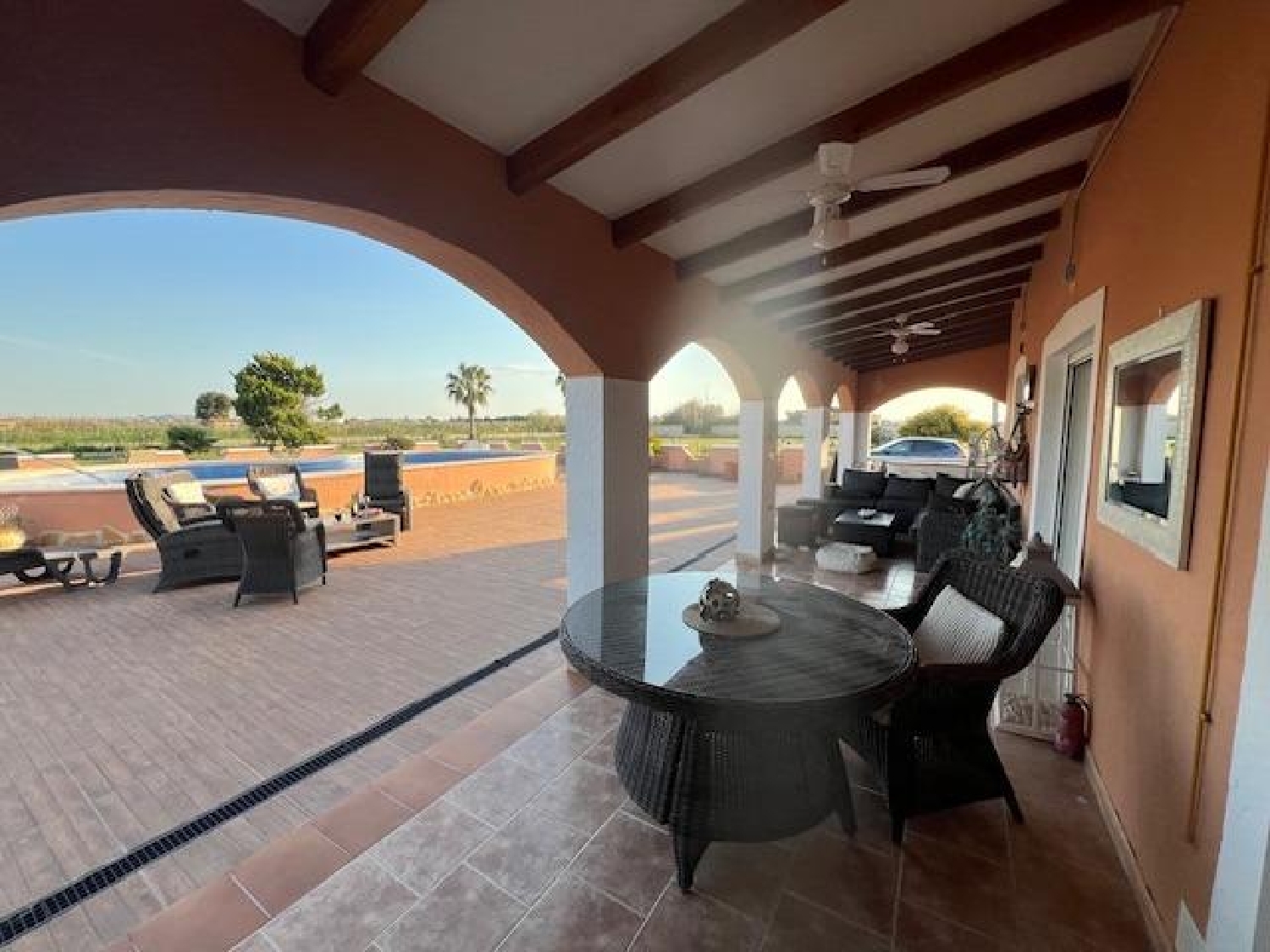  en venta finca rústica Dolores Baix Segura 5