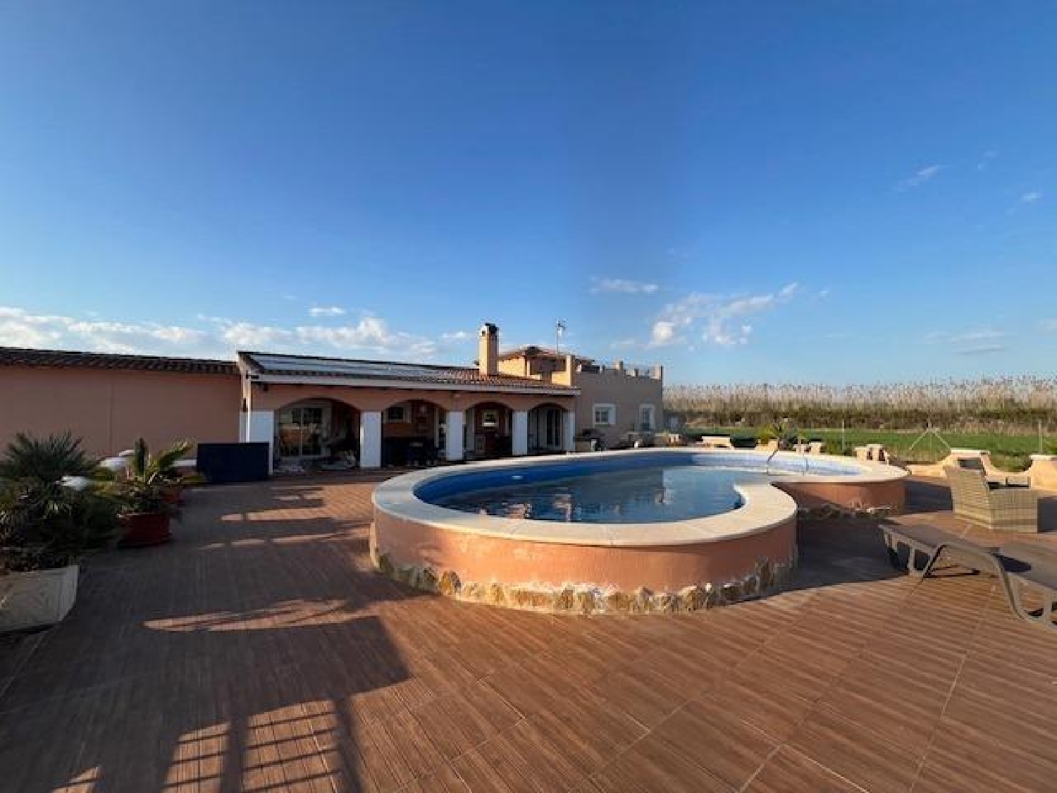 en venta finca rústica Dolores Baix Segura 3