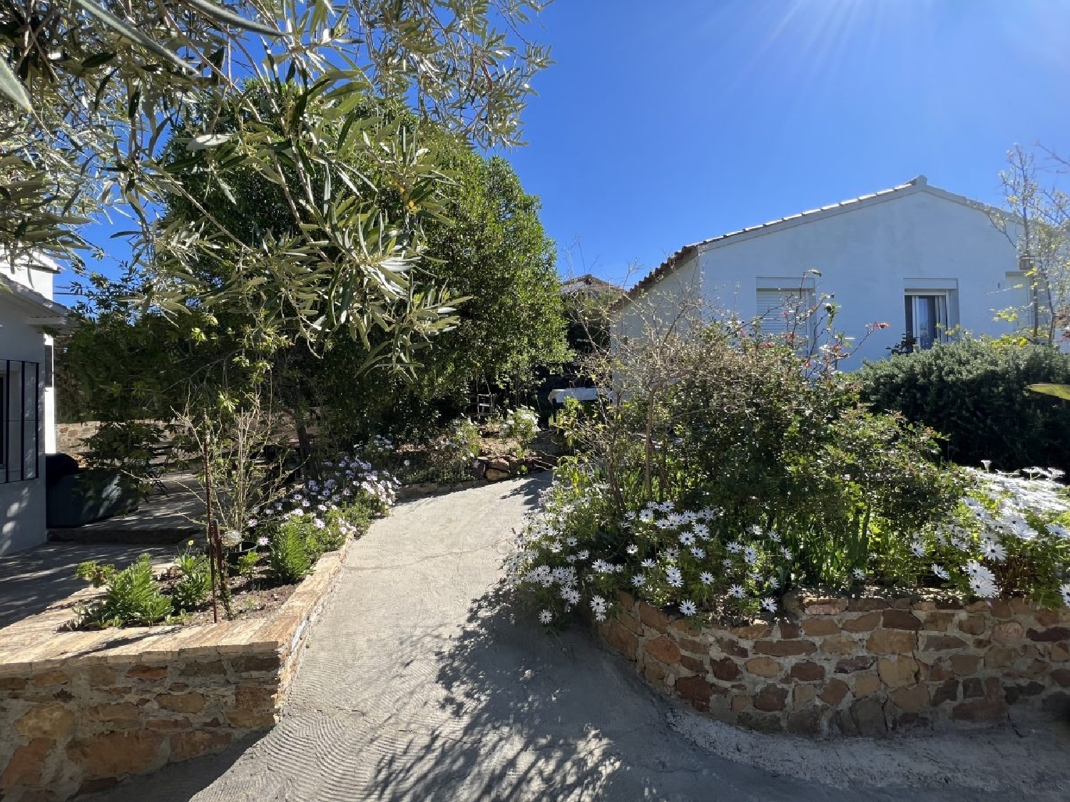  en venta finca rústica El Gastor Sierra De Cádiz 7