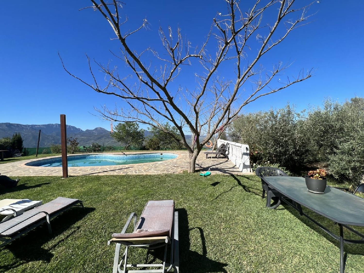  en venta finca rústica El Gastor Sierra De Cádiz 15
