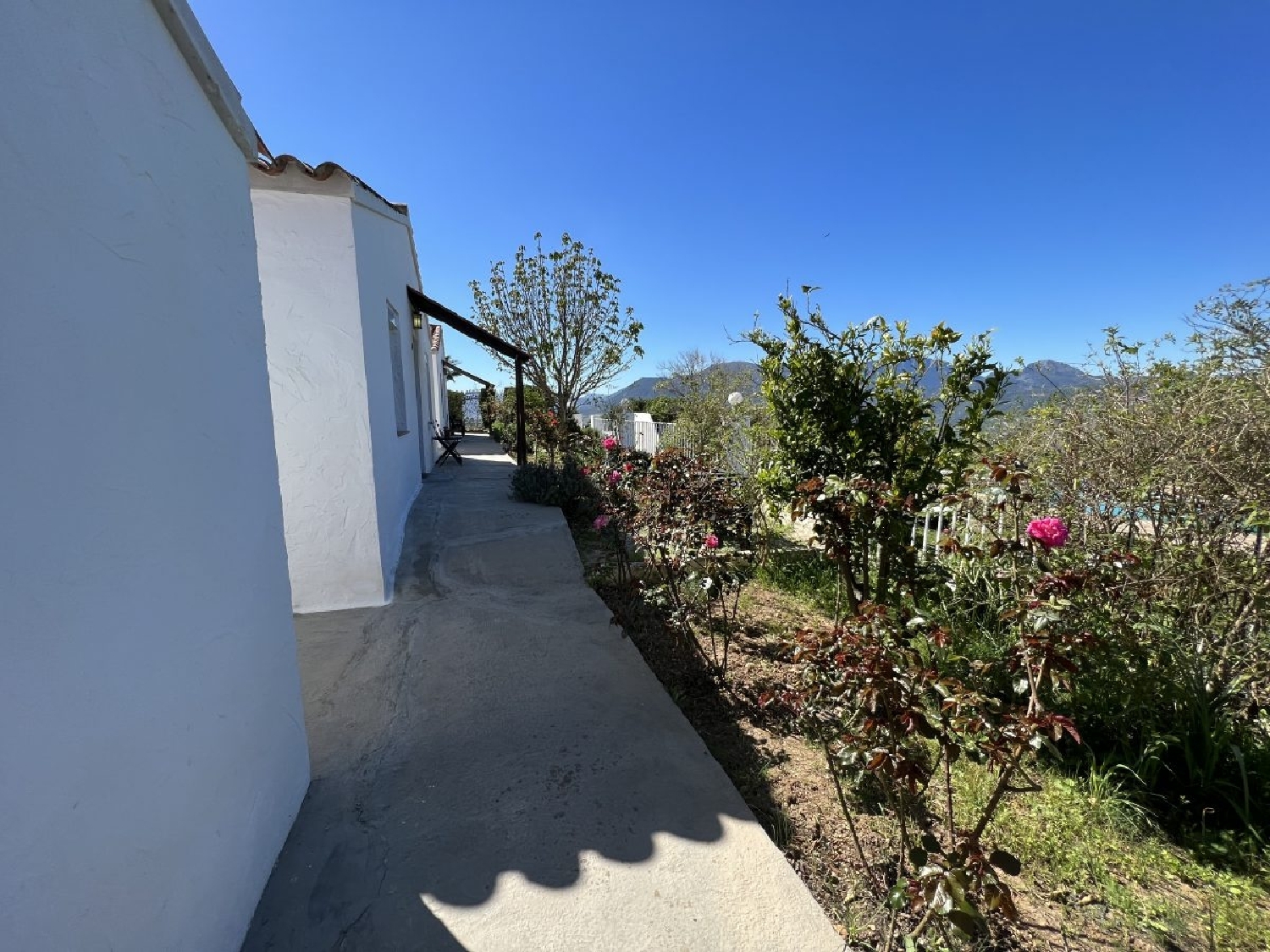  en venta finca rústica El Gastor Sierra De Cádiz 1