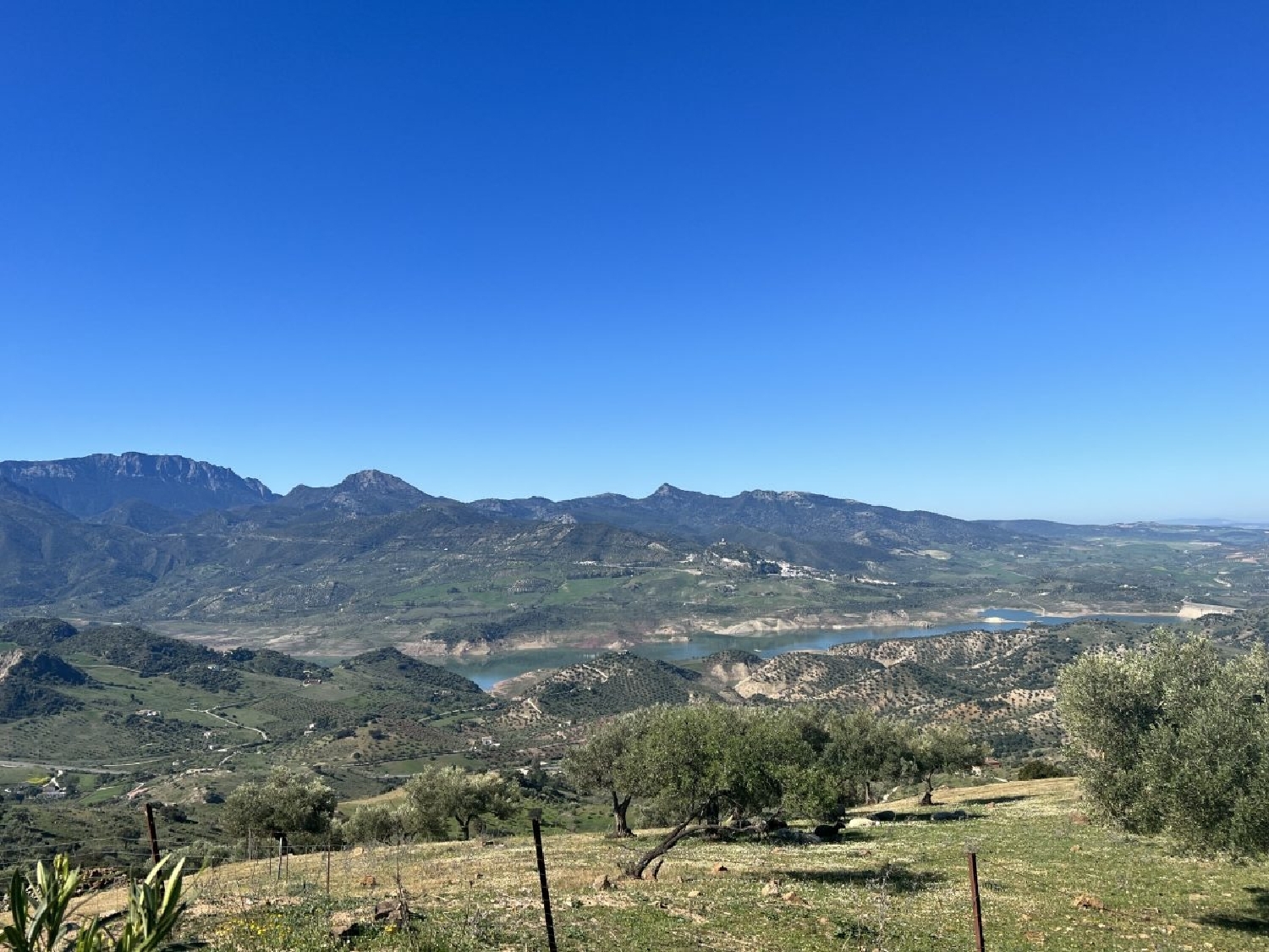  en venta finca rústica El Gastor Sierra De Cádiz 2