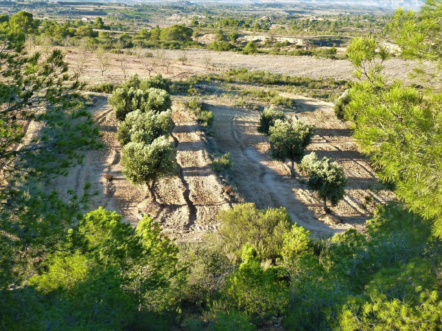  à vendre maison de campagne Fabara Bajo Aragón-Caspe 14