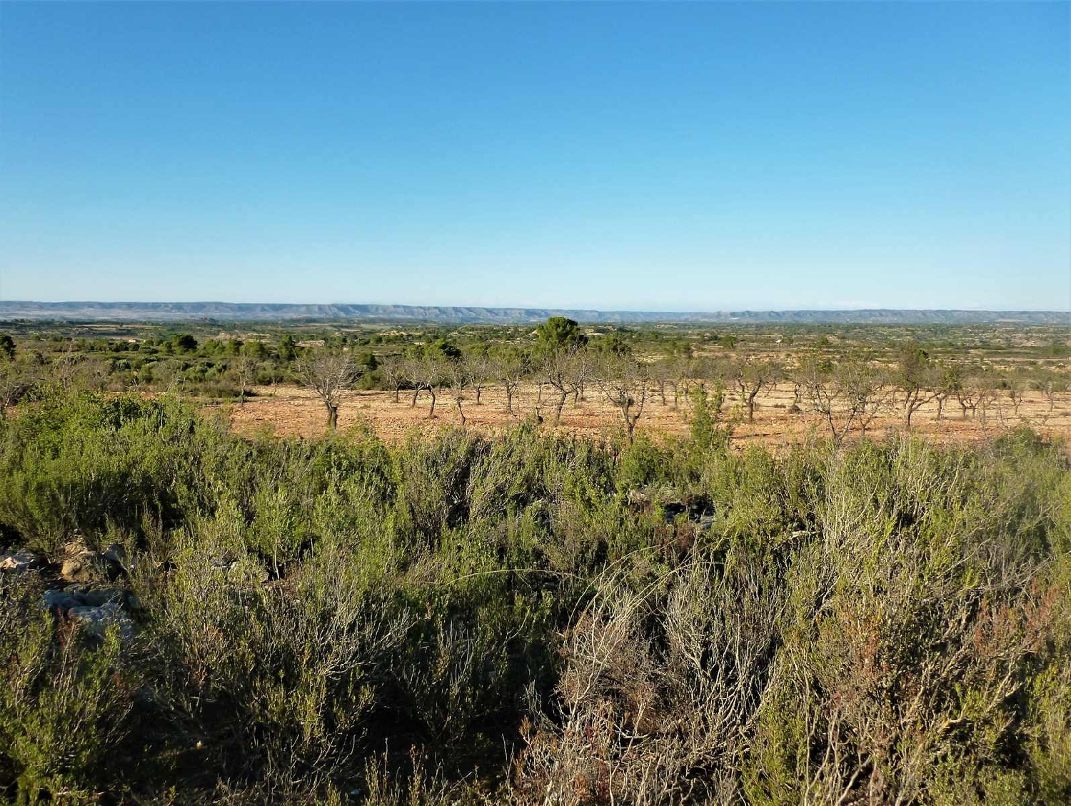  à vendre maison de campagne Fabara Bajo Aragón-Caspe 13