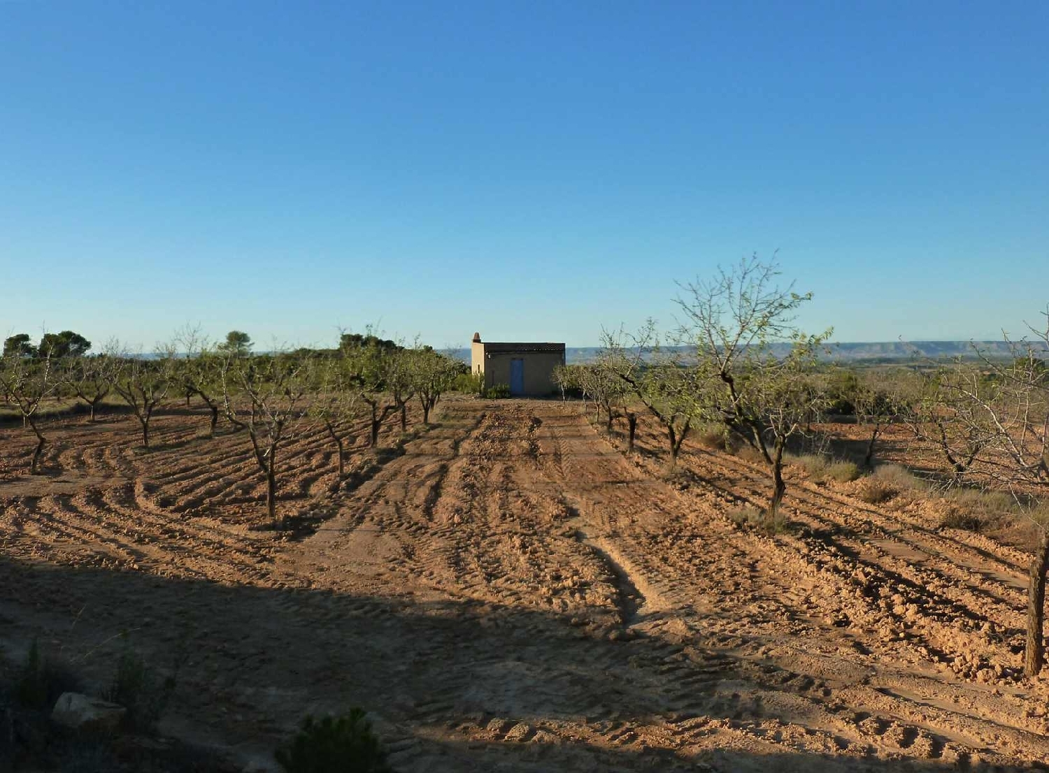  à vendre maison de campagne Fabara Bajo Aragón-Caspe 3