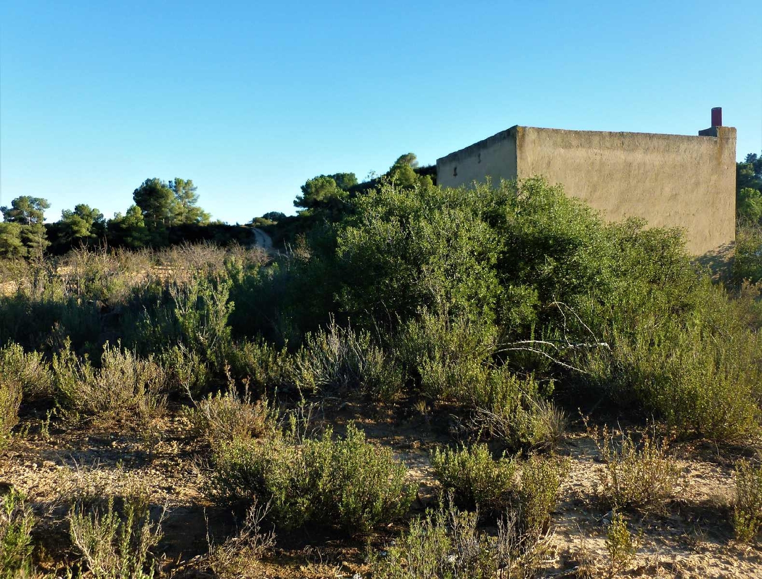  à vendre maison de campagne Fabara Bajo Aragón-Caspe 12