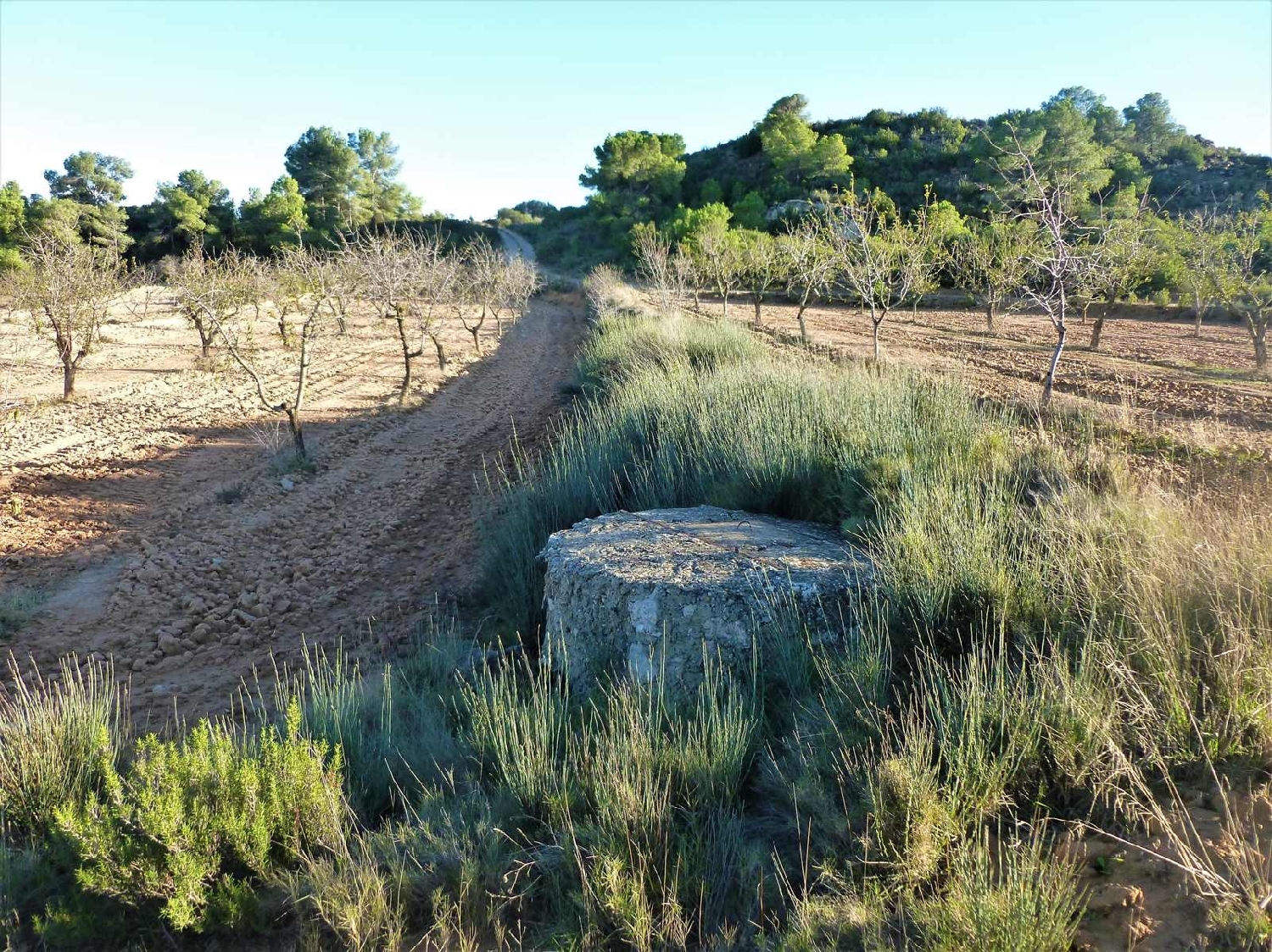  à vendre maison de campagne Fabara Bajo Aragón-Caspe 11