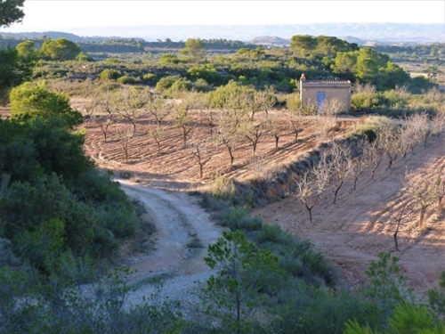 Fabara Bajo Aragón-Caspe Landhaus Bild 6271057