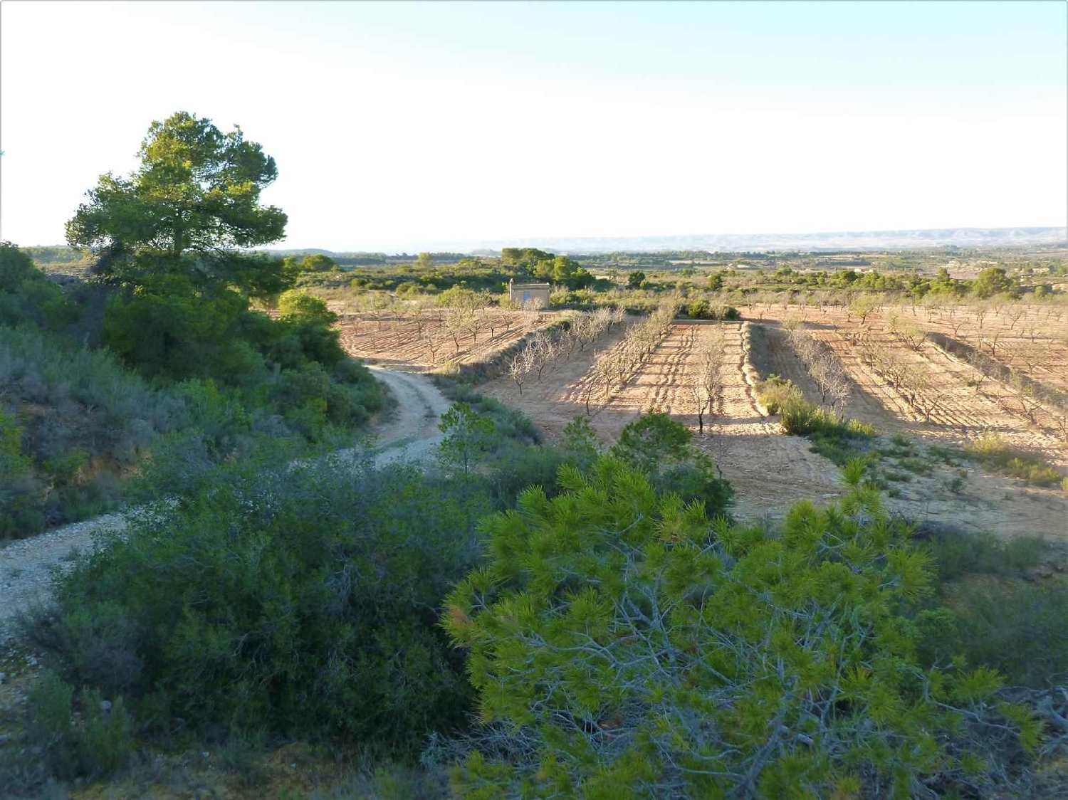  à vendre maison de campagne Fabara Bajo Aragón-Caspe 2