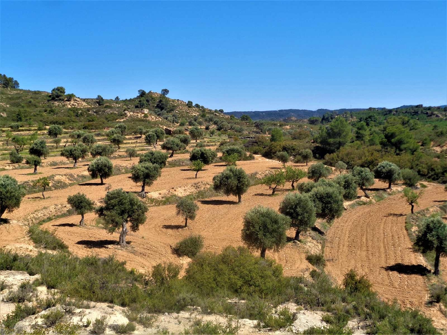  à vendre maison de campagne Fabara Bajo Aragón-Caspe 2