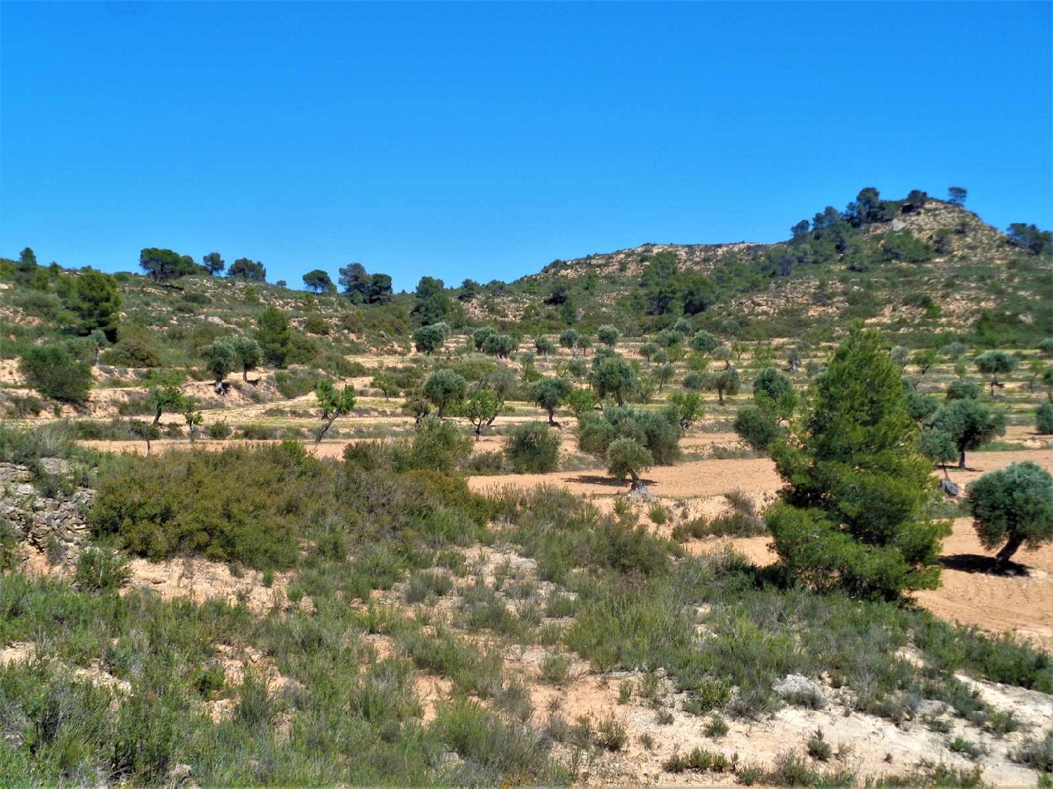  à vendre maison de campagne Fabara Bajo Aragón-Caspe 4