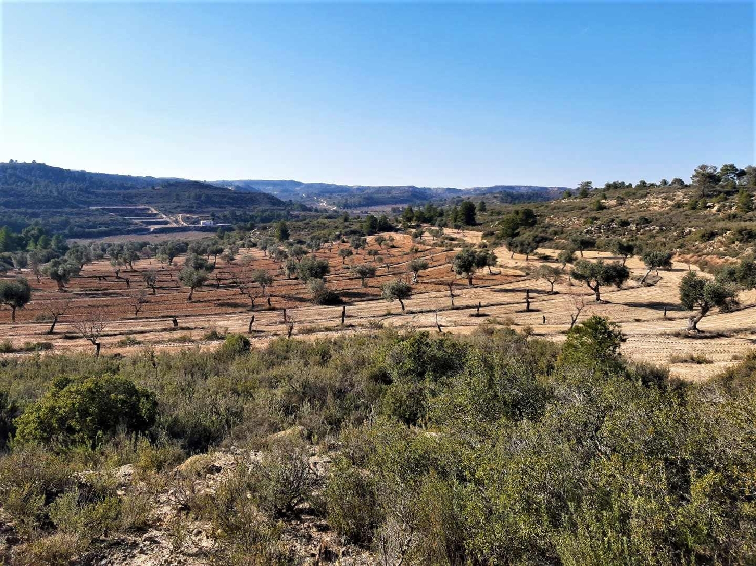  à vendre maison de campagne Fabara Bajo Aragón-Caspe 15