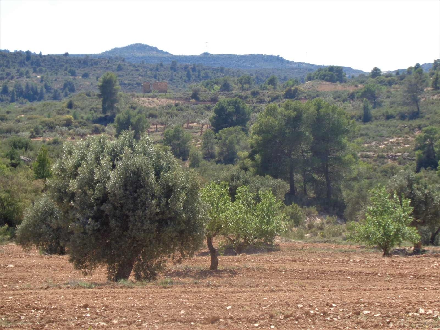  à vendre maison de campagne Fabara Bajo Aragón-Caspe 3