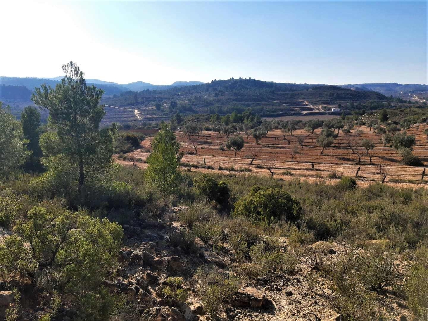  à vendre maison de campagne Fabara Bajo Aragón-Caspe 14