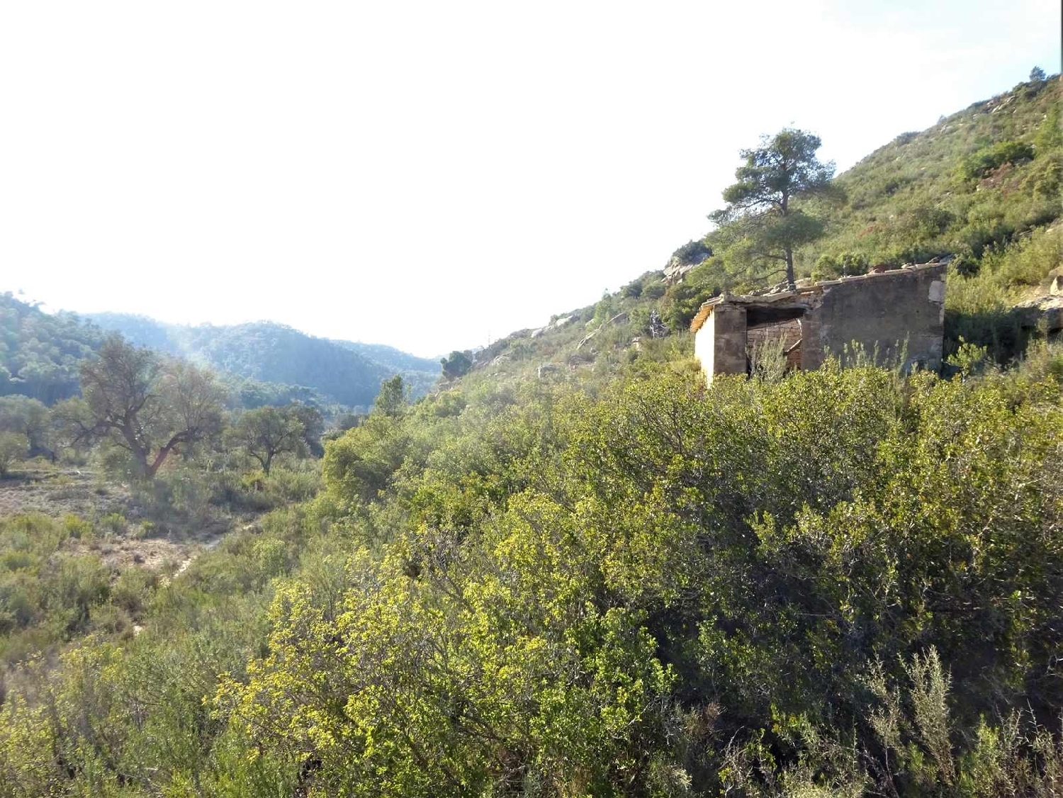  à vendre maison de campagne Fabara Bajo Aragón-Caspe 8