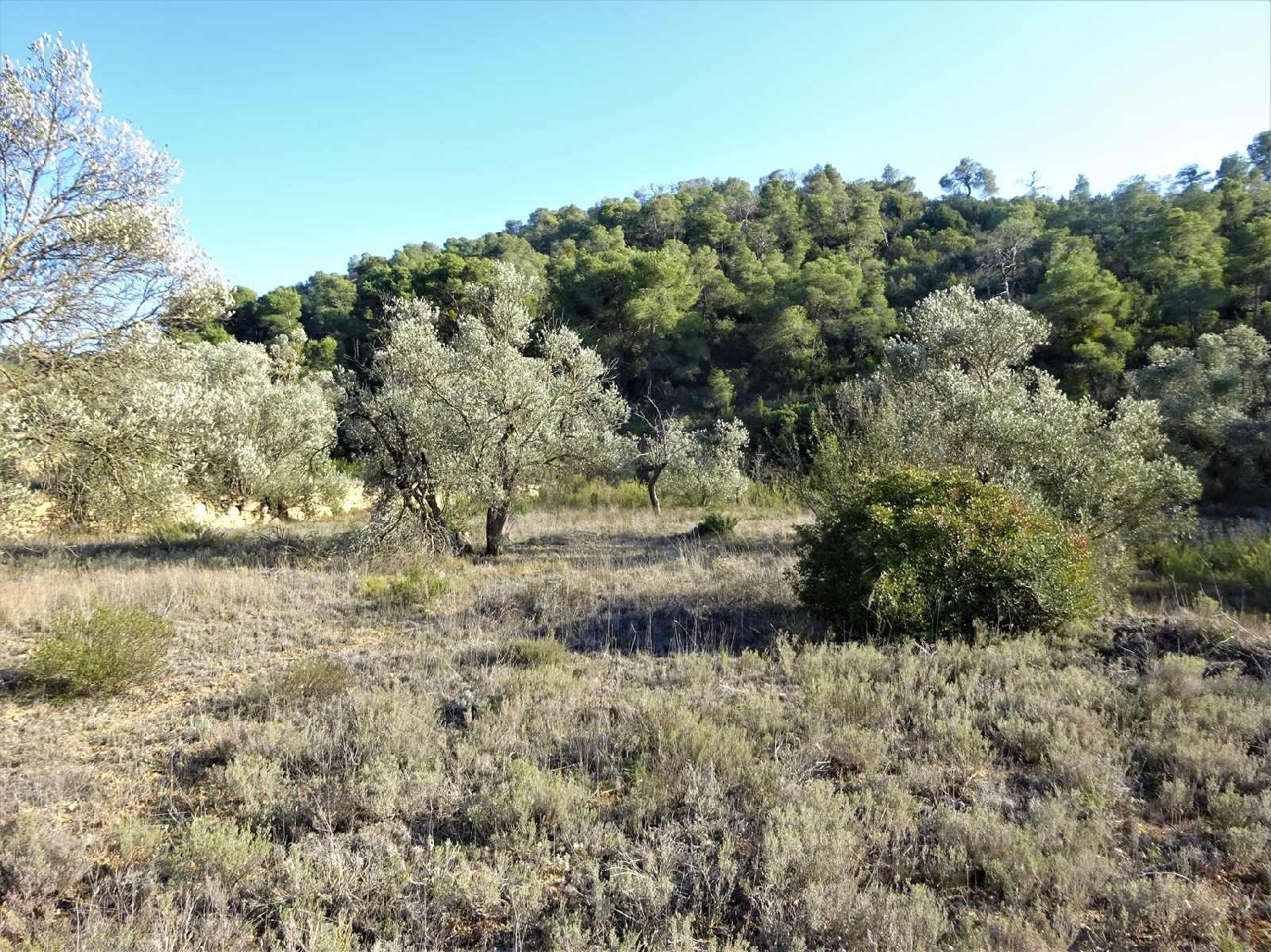  à vendre maison de campagne Fabara Bajo Aragón-Caspe 6