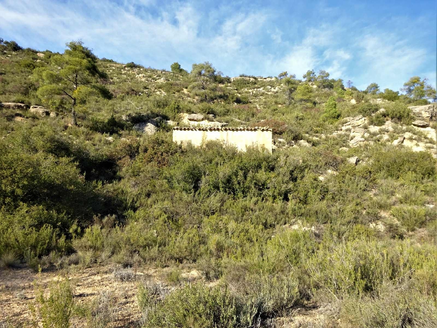  à vendre maison de campagne Fabara Bajo Aragón-Caspe 7