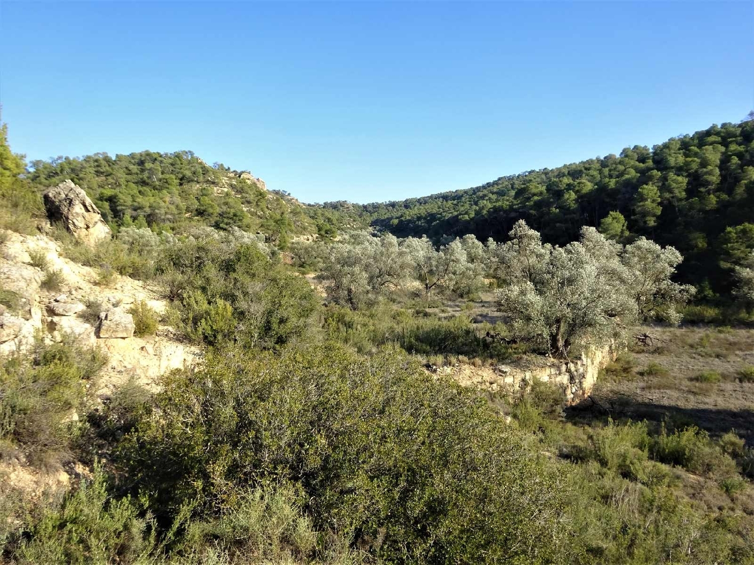  à vendre maison de campagne Fabara Bajo Aragón-Caspe 15