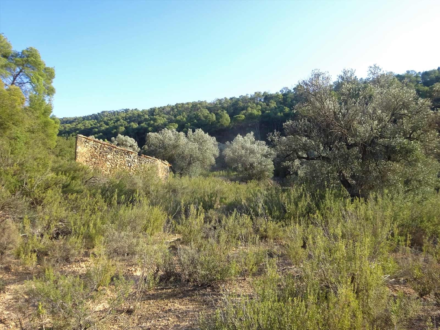  à vendre maison de campagne Fabara Bajo Aragón-Caspe 1