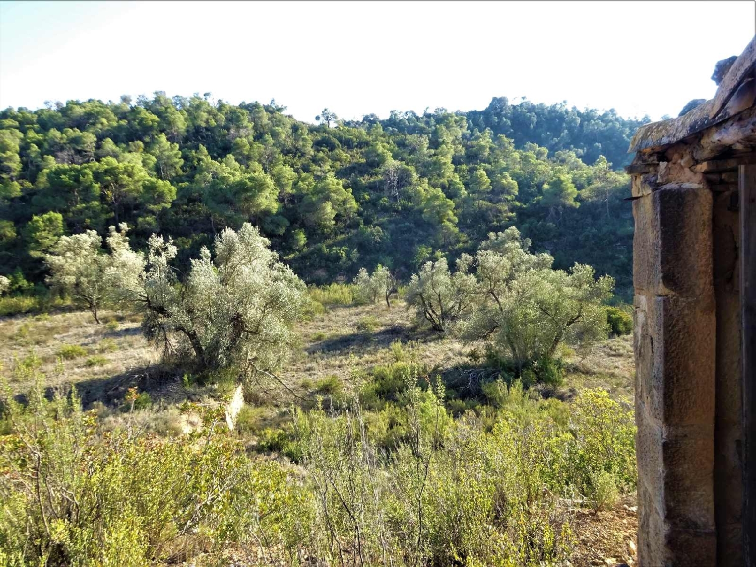 à vendre maison de campagne Fabara Bajo Aragón-Caspe 13