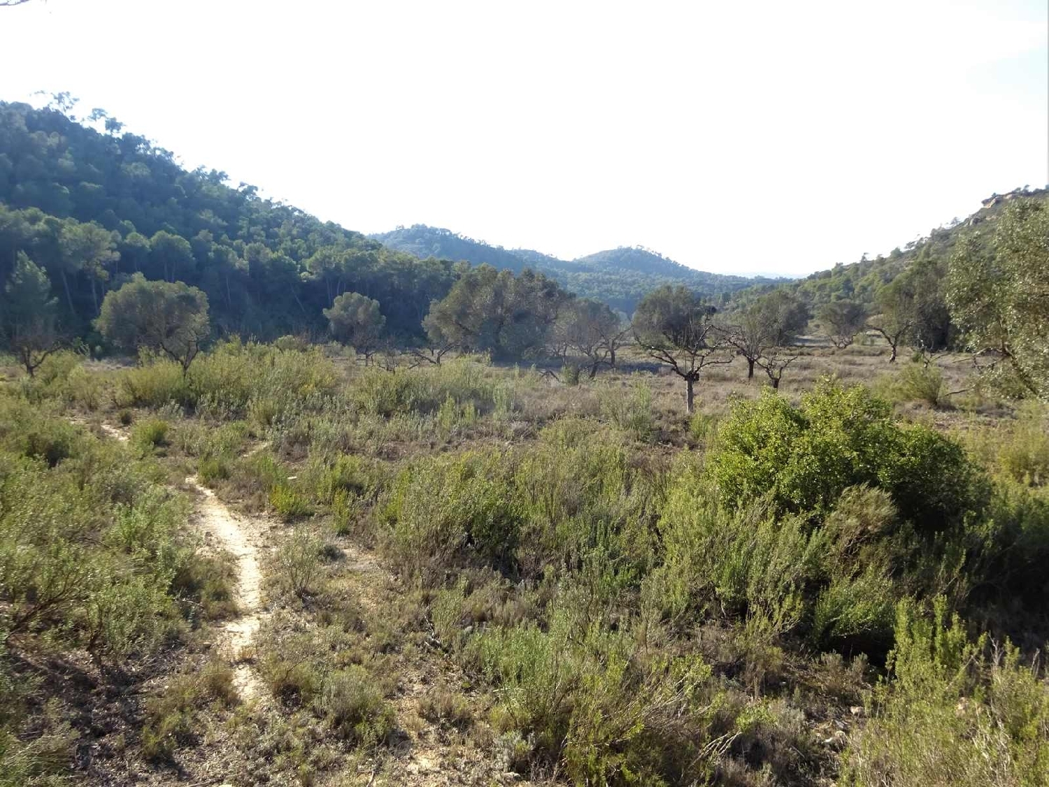  à vendre maison de campagne Fabara Bajo Aragón-Caspe 2