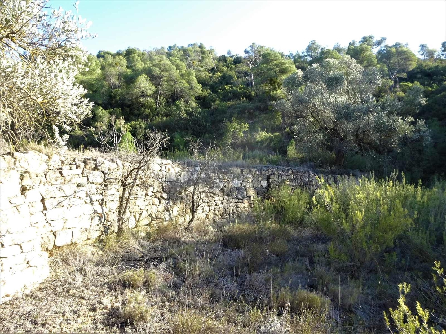  à vendre maison de campagne Fabara Bajo Aragón-Caspe 4