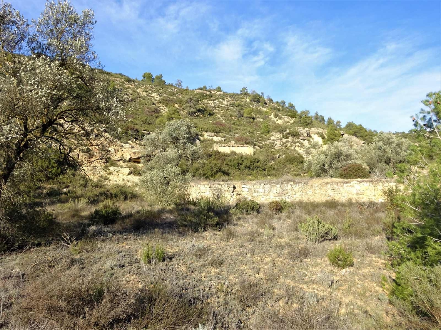  à vendre maison de campagne Fabara Bajo Aragón-Caspe 3