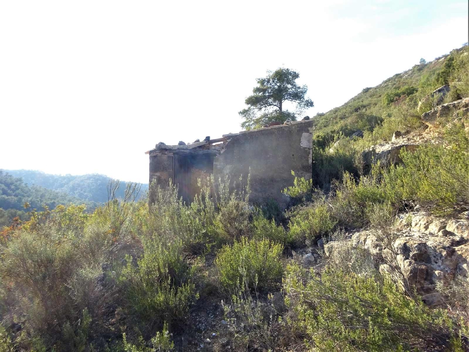  à vendre maison de campagne Fabara Bajo Aragón-Caspe 9