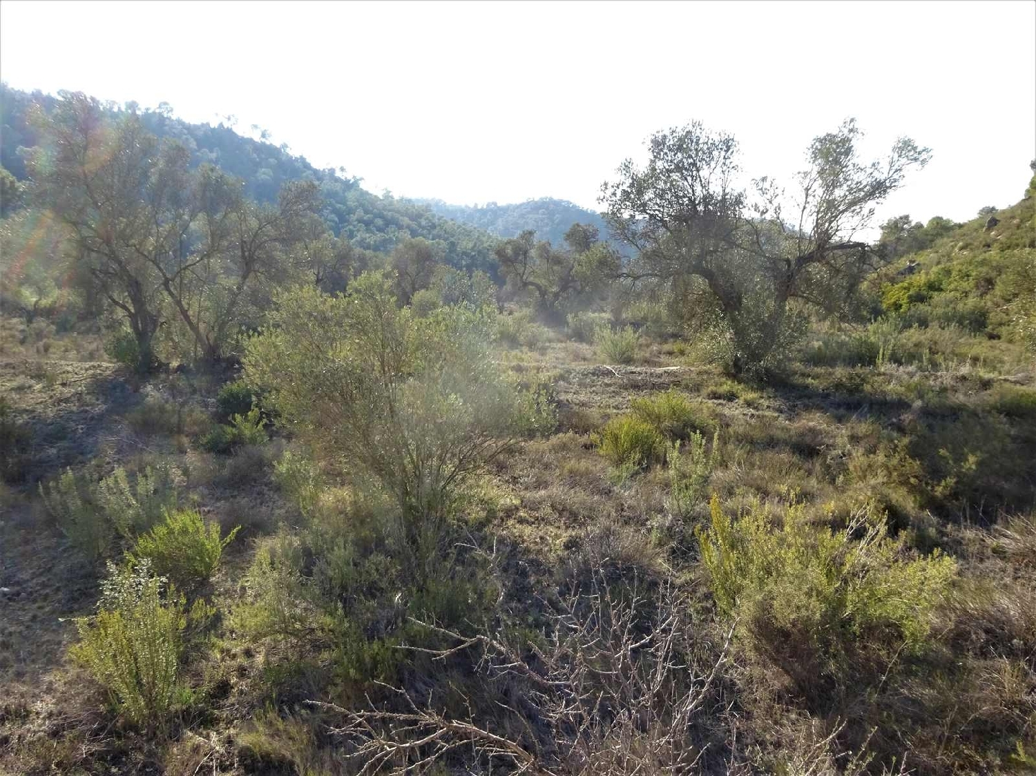  à vendre maison de campagne Fabara Bajo Aragón-Caspe 5