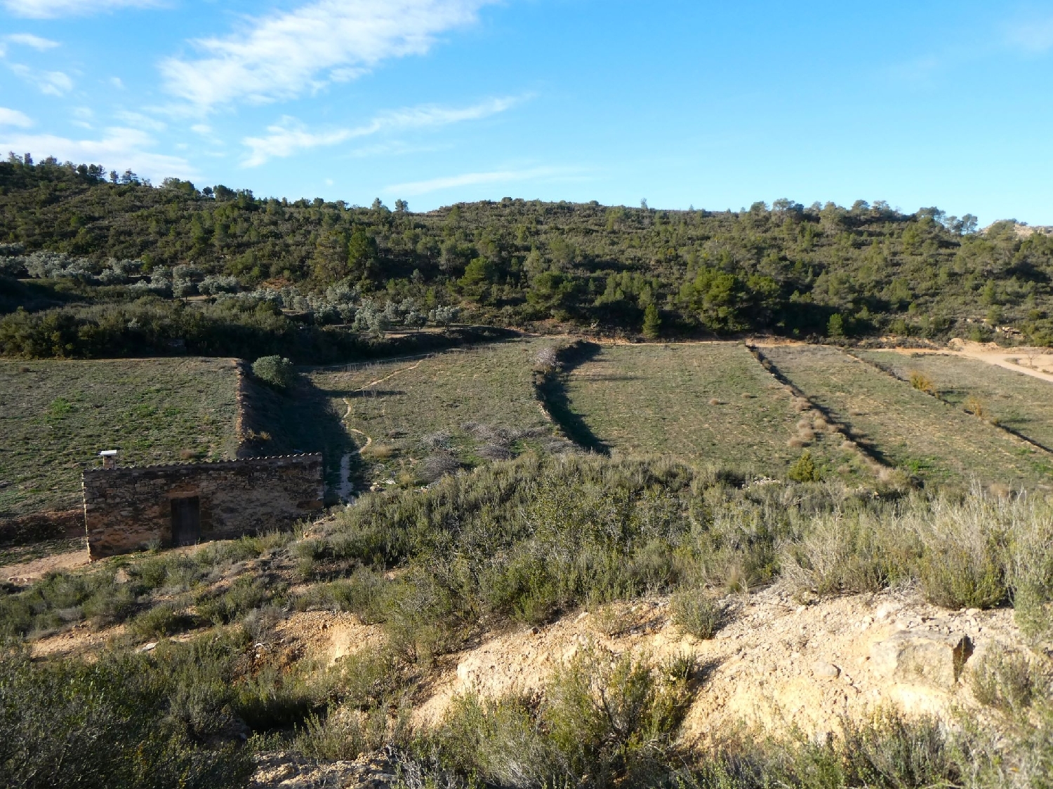  à vendre maison de campagne Fabara Bajo Aragón-Caspe 5