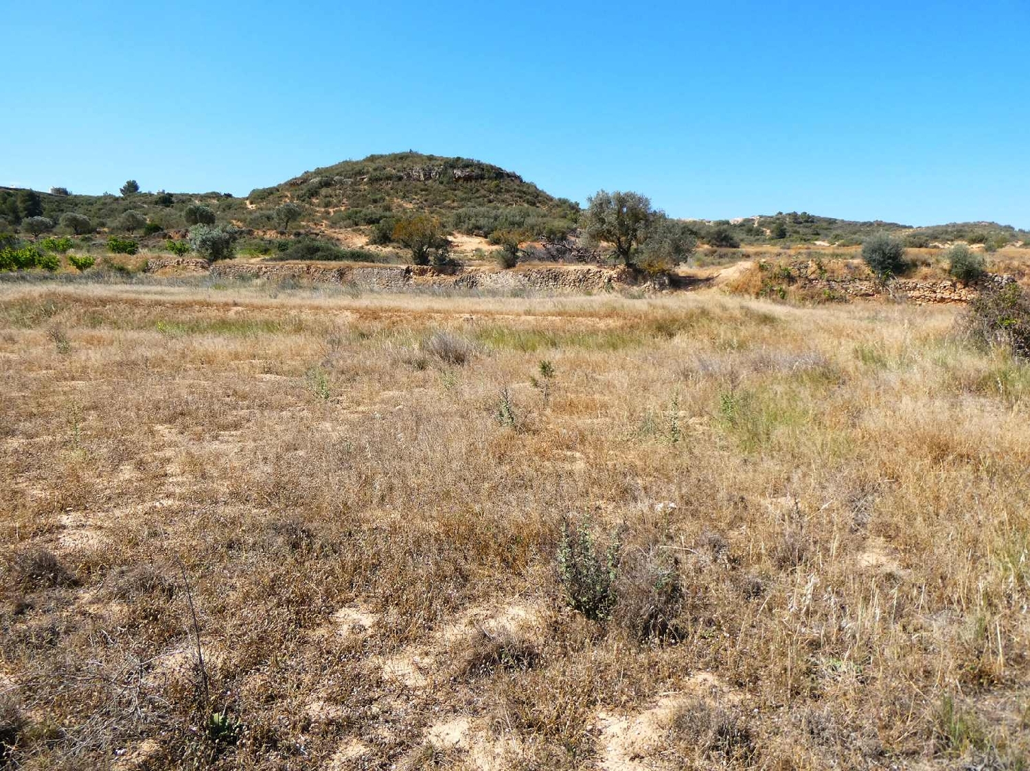  kaufen Landhaus Fabara Bajo Aragón-Caspe 7