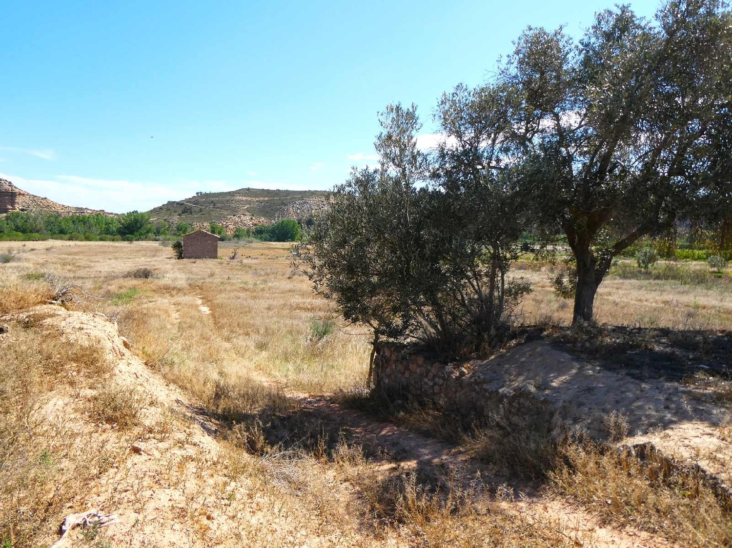  kaufen Landhaus Fabara Bajo Aragón-Caspe 3