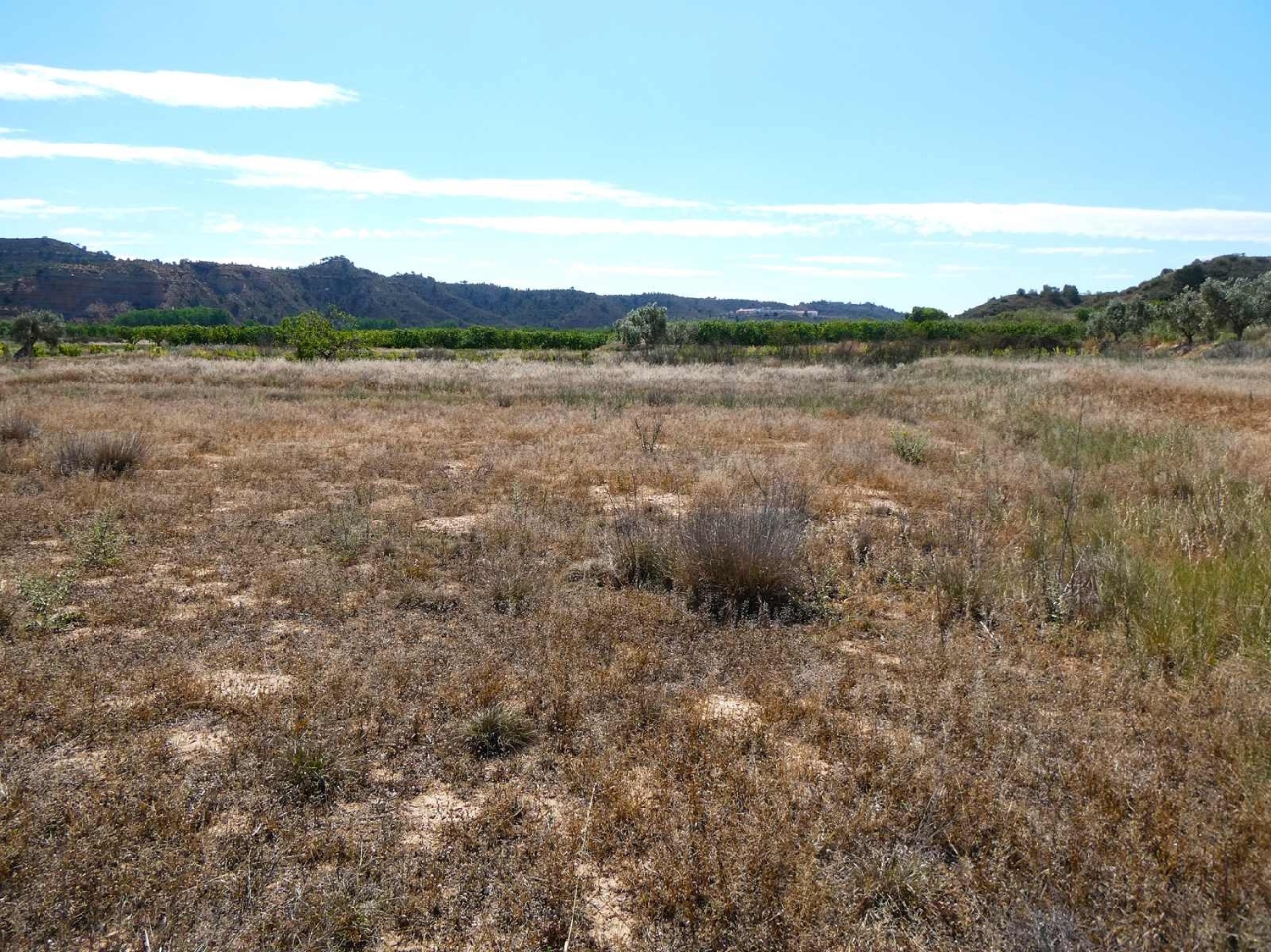  kaufen Landhaus Fabara Bajo Aragón-Caspe 5