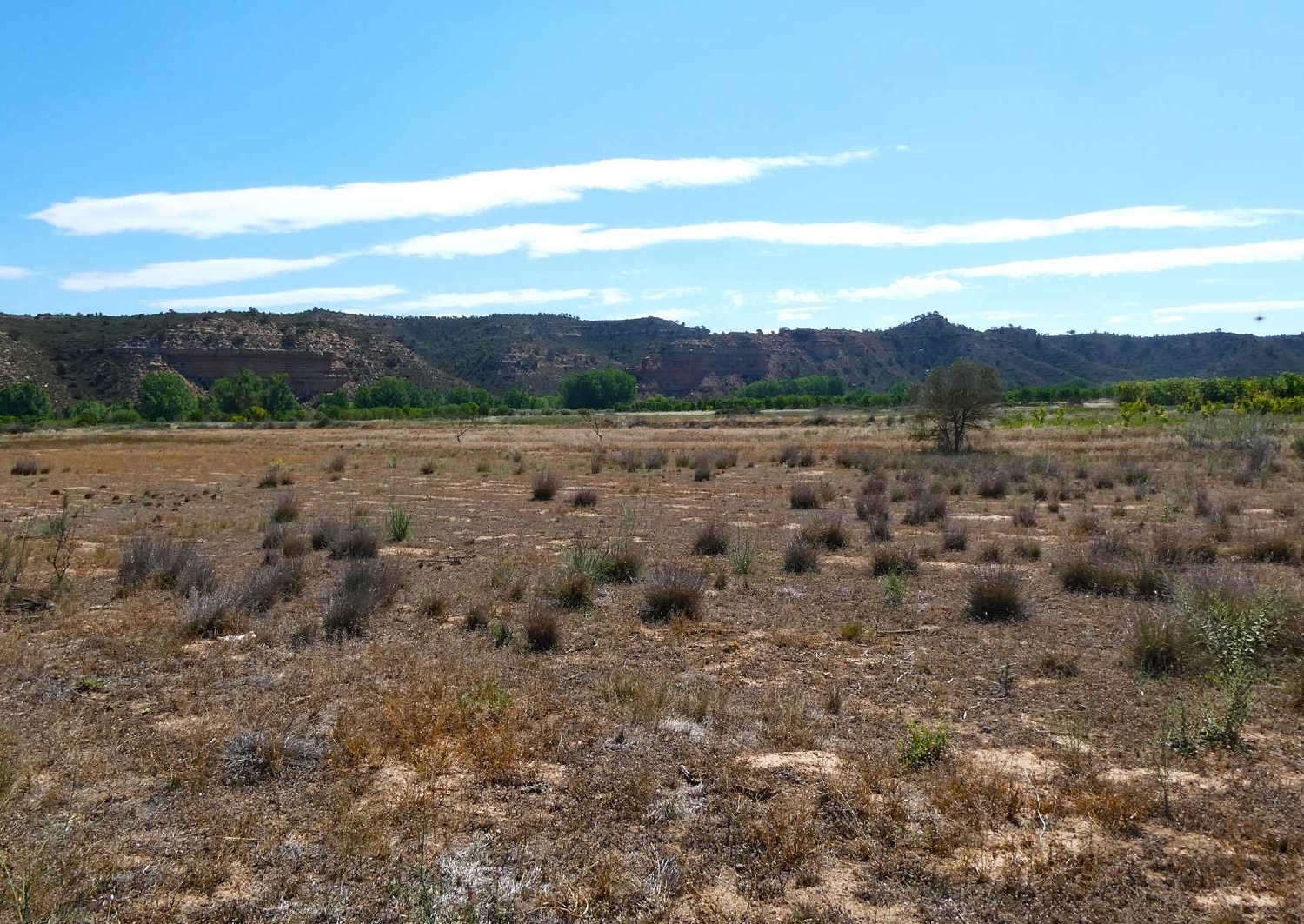  kaufen Landhaus Fabara Bajo Aragón-Caspe 10
