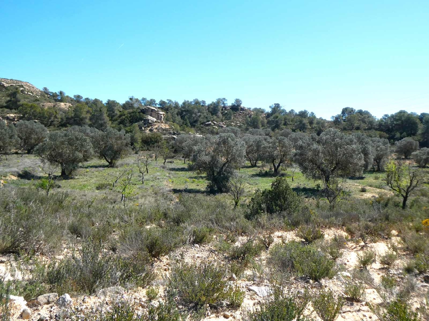  à vendre maison de campagne Fabara Bajo Aragón-Caspe 3