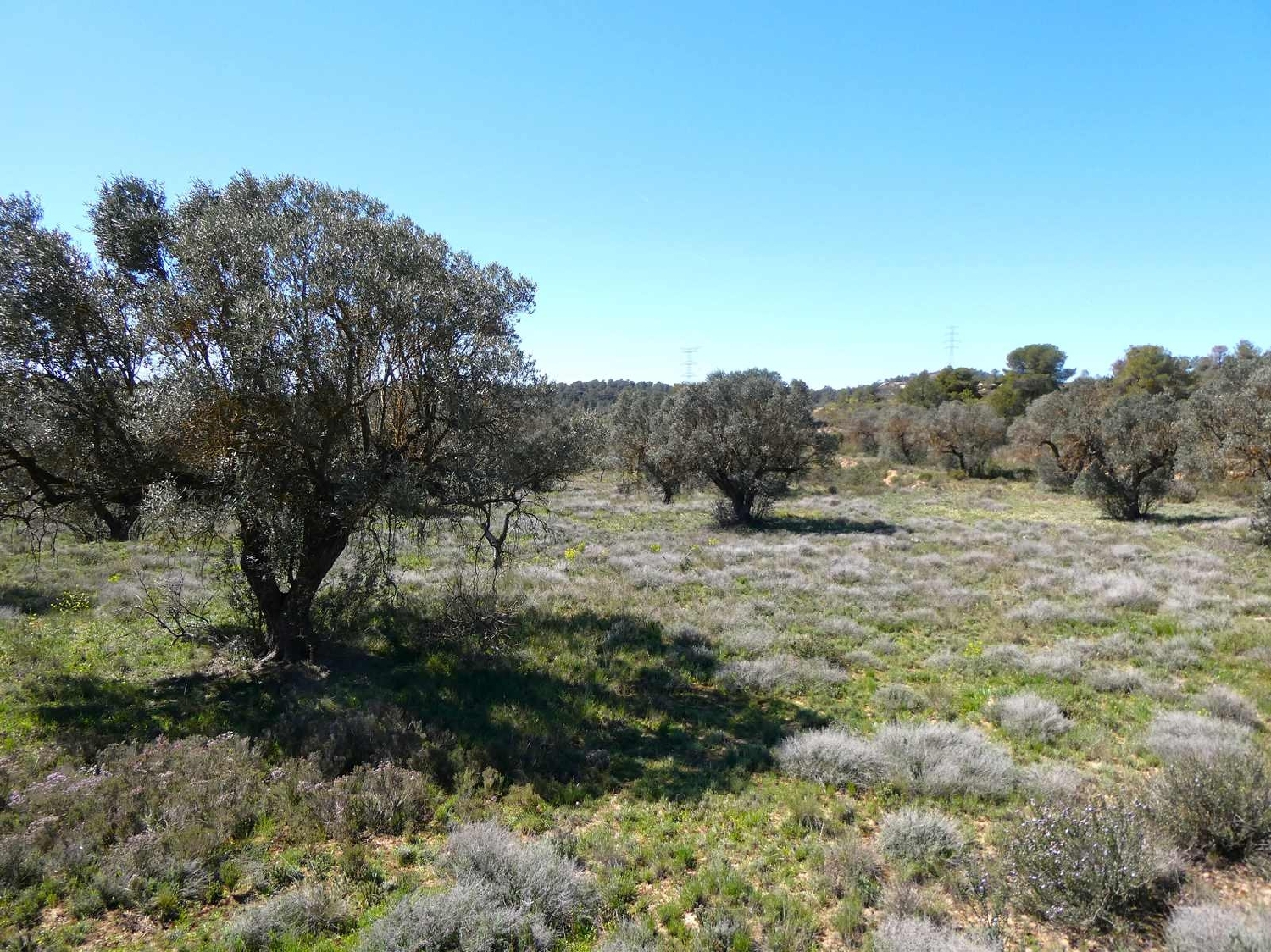  à vendre maison de campagne Fabara Bajo Aragón-Caspe 9