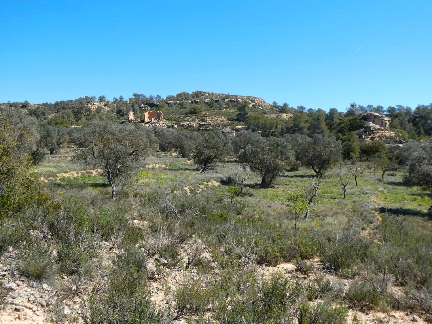  à vendre maison de campagne Fabara Bajo Aragón-Caspe 1