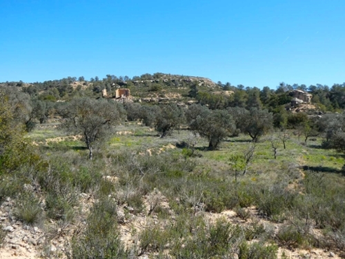 Fabara Bajo Aragón-Caspe Landhaus Bild 6271163