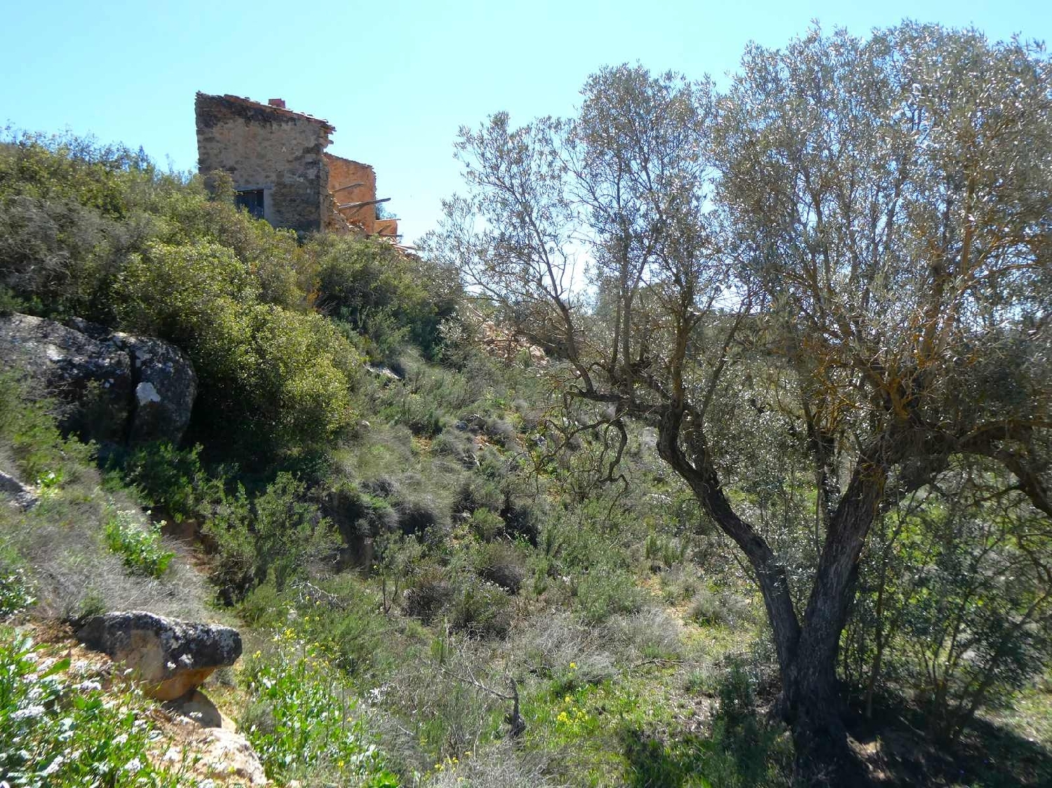  à vendre maison de campagne Fabara Bajo Aragón-Caspe 8