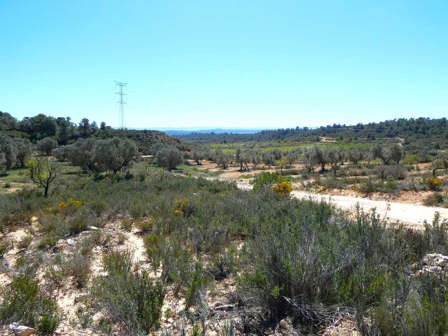  à vendre maison de campagne Fabara Bajo Aragón-Caspe 2
