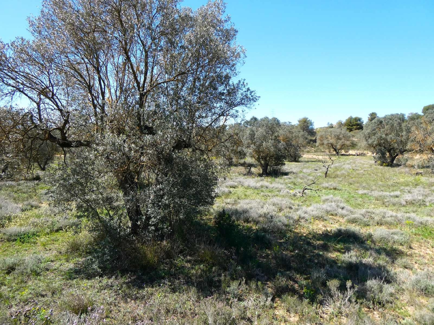  à vendre maison de campagne Fabara Bajo Aragón-Caspe 7