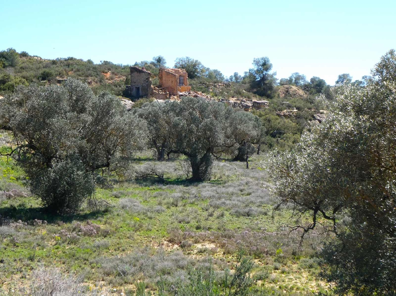  à vendre maison de campagne Fabara Bajo Aragón-Caspe 14