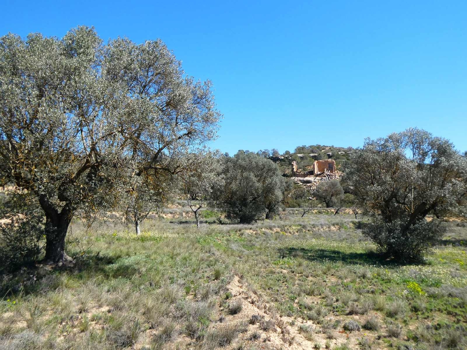  à vendre maison de campagne Fabara Bajo Aragón-Caspe 4