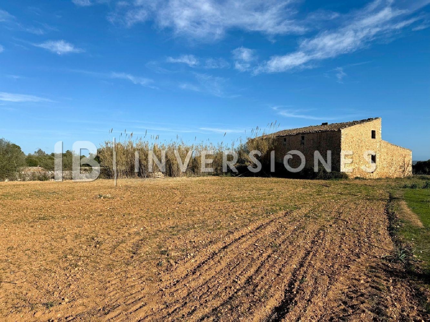  te koop boerderij Felanitx Sud 6